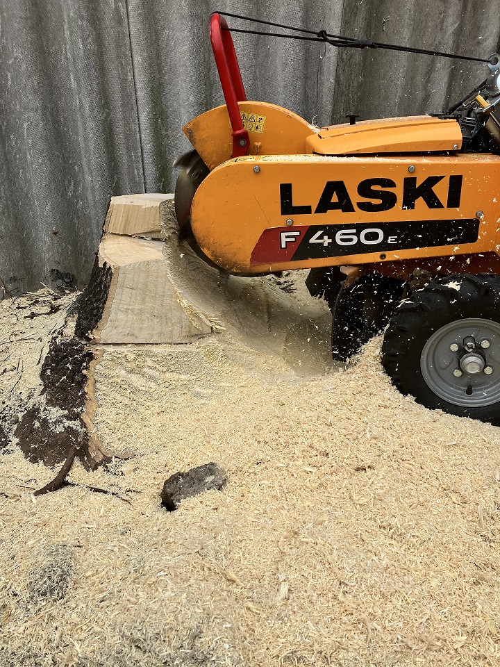 Magas tuskó marása.